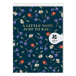 Ladybirds Noir ‘A Little Note Just to Say’ Mini Card