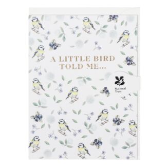 Blue Tit Pure ‘A Little Bird Told Me’ Mini Card
