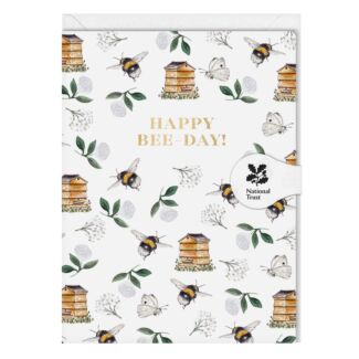 Bumblebee & Beehives ‘Happy Bee-Day’ Mini Birthday Card