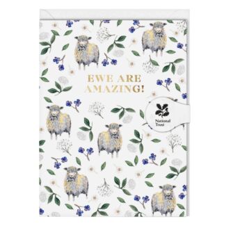 Sheep White ‘Ewe Are Amazing’ Mini Card