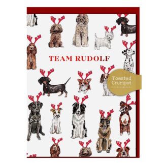 Dogs ‘Team Rudolf’ Mini Christmas Card