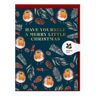 Robins ‘Have Yourself a Merry Little’ Mini Christmas Card