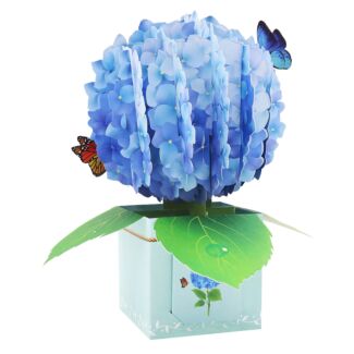 Florever ‘Hydrangea’ Pop-Up Flower Box Card