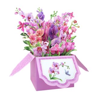 Florever ‘Orchids’ Pop-Up Flower Box Card