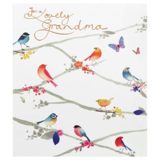 Delphine Colourful Birds Grandma Birthday Card