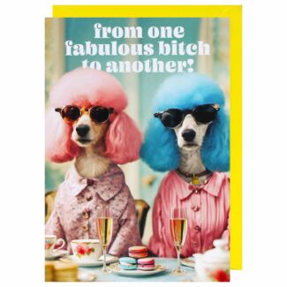 Ark Life Dog From One Fabulous B**** To Another Birthday Card