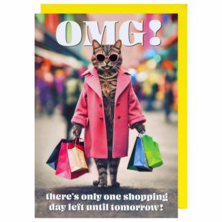 Ark Life Cat One Shopping Day Birthday Card