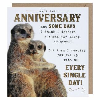 Funny Works Meerkats Anniversary Card