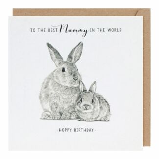 Life In Pencil Hoppy Mum Birthday Card