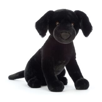 Pippa Black Labrador Dog