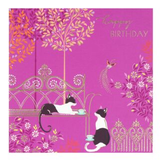 Calm Cats Birthday Card