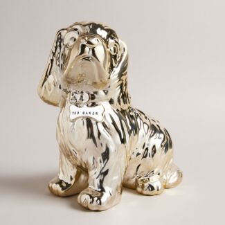 HAVIERR Metallic Gold Dog Money Box