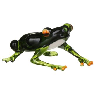 Glass Green Frog