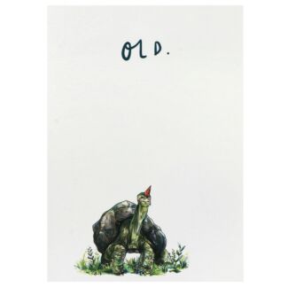 ‘Old’ Tortoise Birthday Card