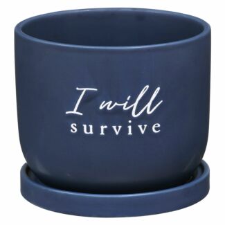 Country Living I Will Survive Ceramic Plant Pot