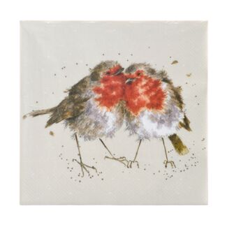 ‘Snuggled Together’ Robin Set Of 20 Lunch Napkins
