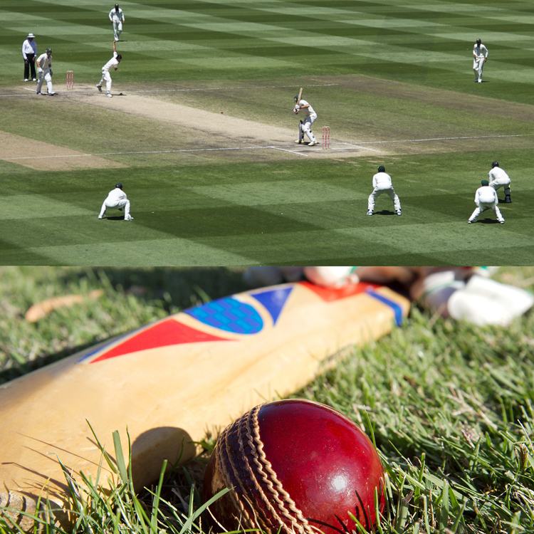 Family Ticket to a County Cricket Match - 29.00 Family Ticket to a County Cricket Match