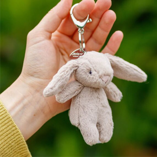 Bag Accessories