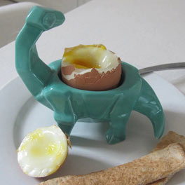 Dinosaur