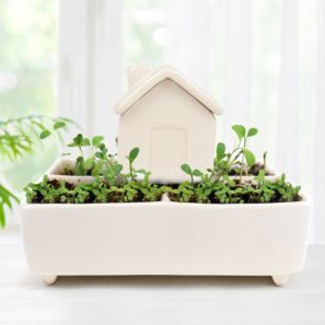 Home & Garden