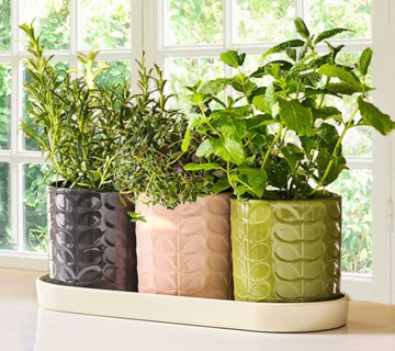Orla Kiely Clearance