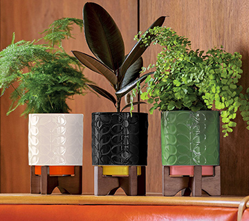 Orla Kiely Vases and Planters