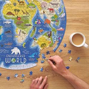  Jigsaw Puzzles